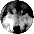 The Wolf